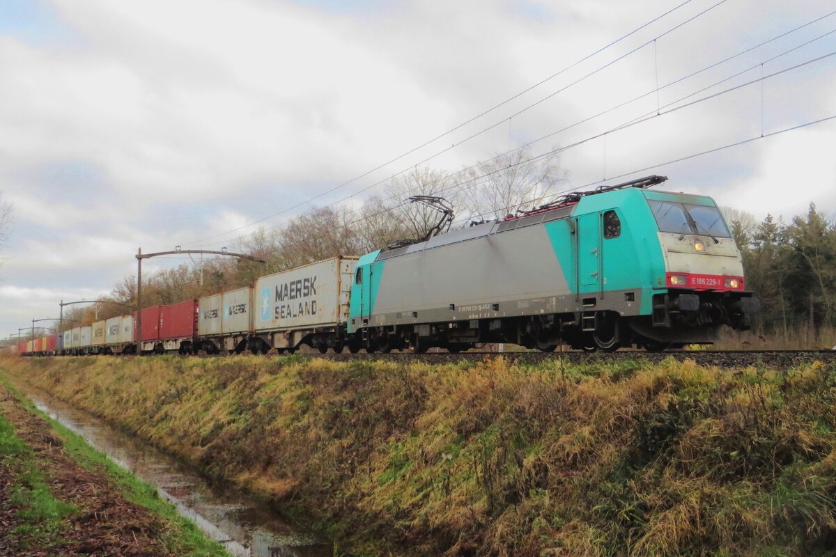 RTB 186 229 schleppt der Blerick-KLV durch Tilburg Oude Warande am 8 Dezember 2021.