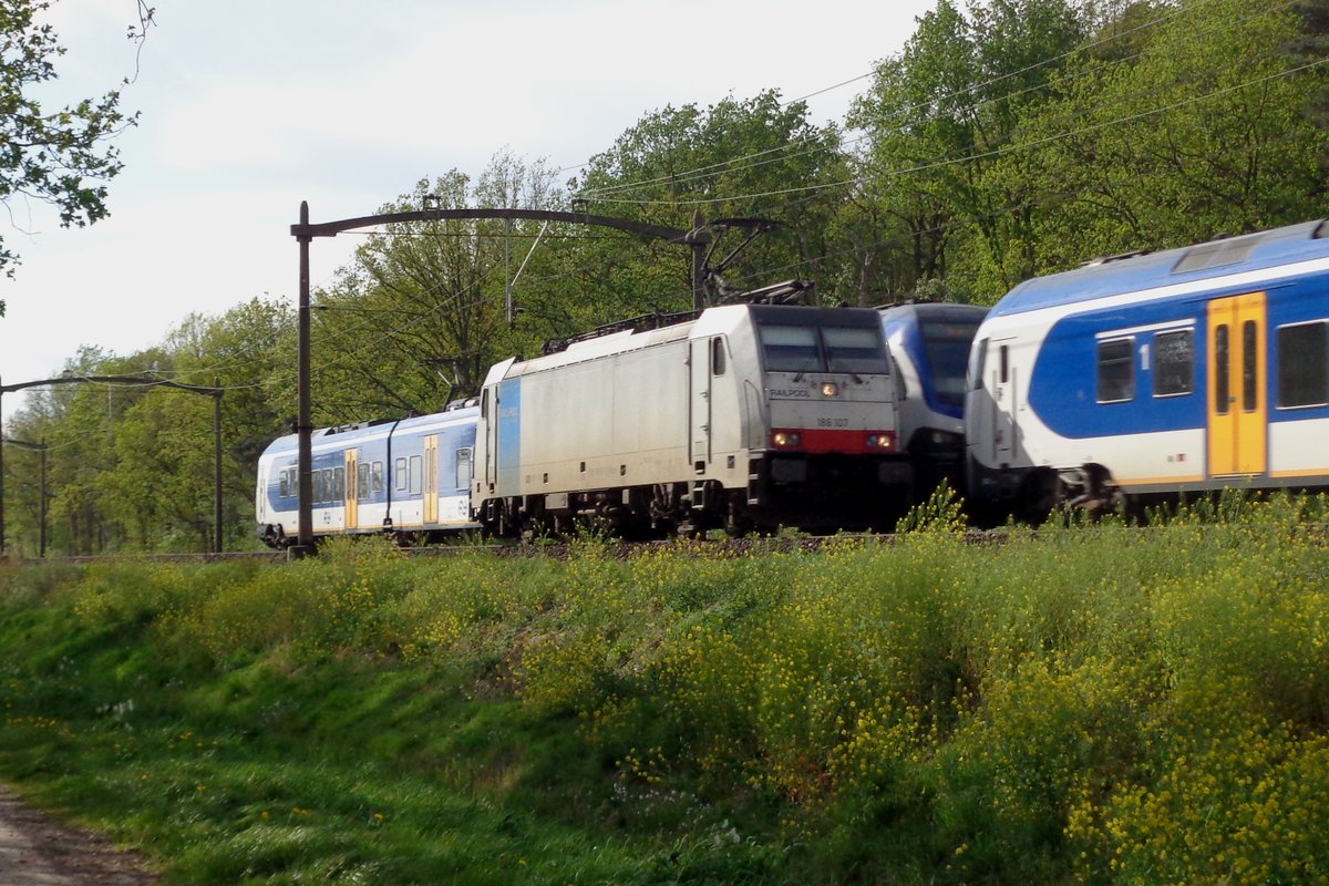 Soloauftritt für 186 107 bei Tilburg am 24 April 2019.