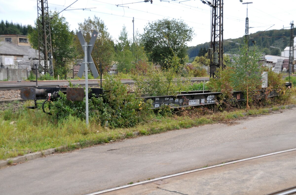 Spezialtransporter, der vergessene, zugewachsene Flachwagen 90-80-976 6 182-7 RIV DB Uaais 756 mit besonderer Geschichte in Amstetten neben der Stra�e zur Heidelberger Maschinenfabrik am 17.09.2011. 