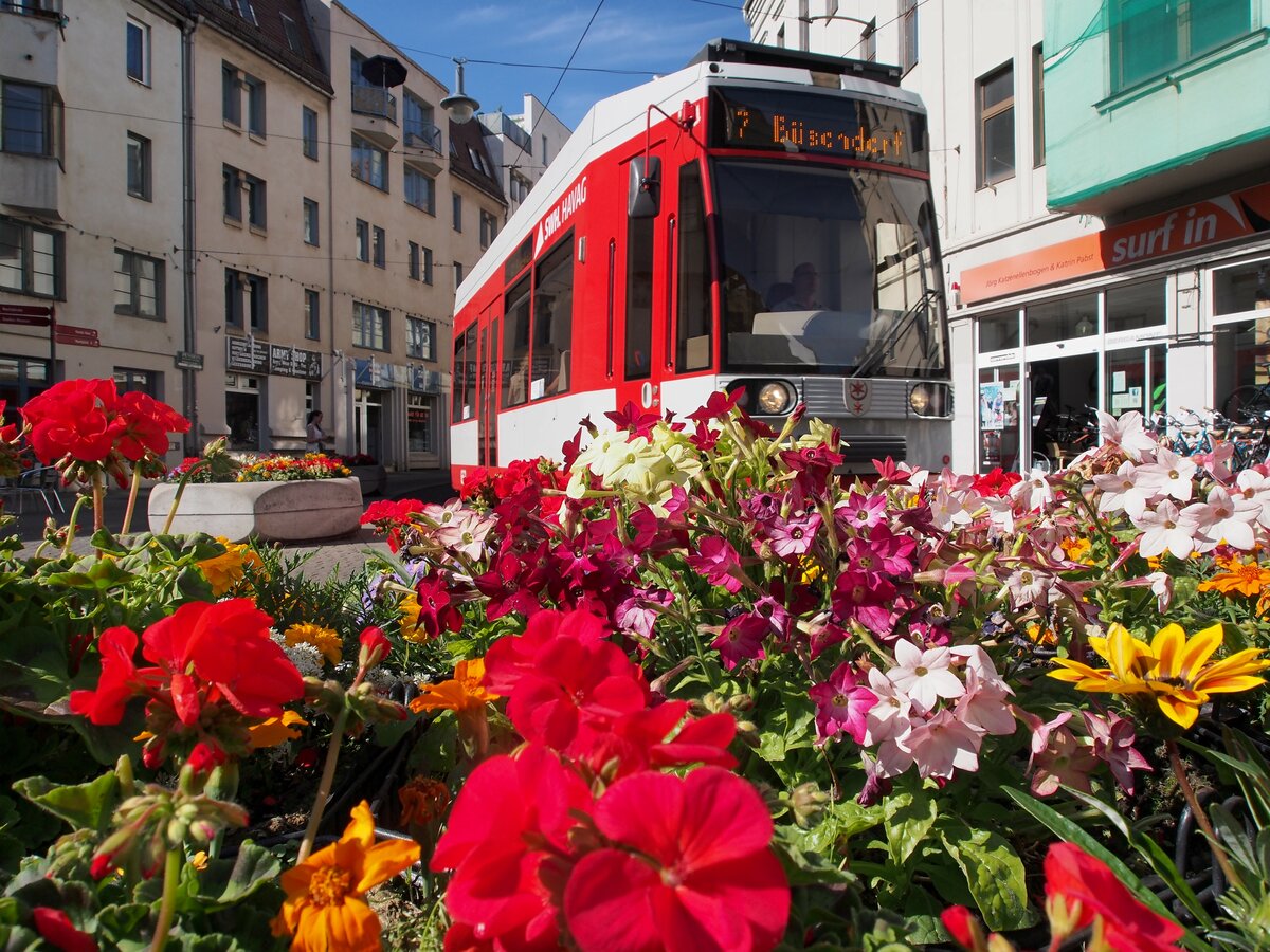 Stra�enbahn / Stadtverkehr; Halle;  MGT6D Nr.641 von Bautzen Baujahr 1998 in der Schmeestra�e in Halle am 30.06.2015.