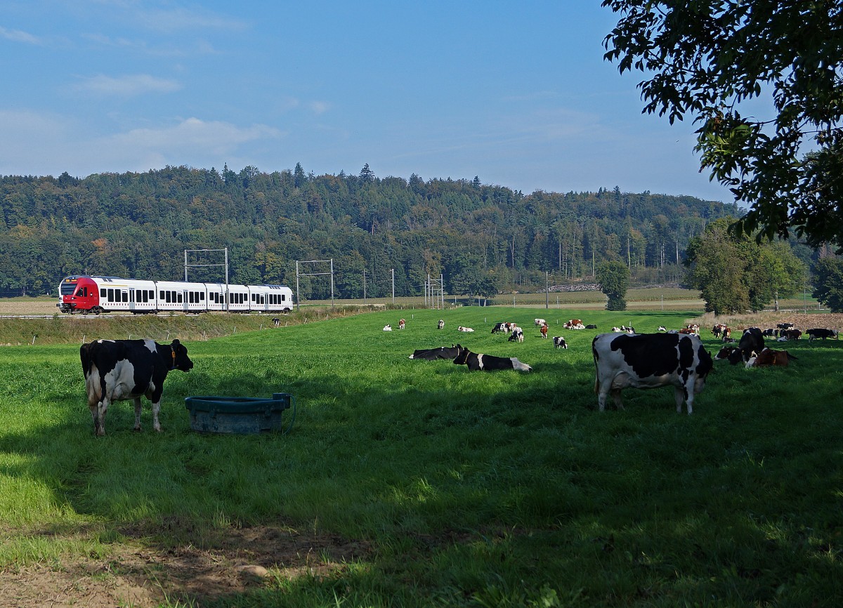 TPF: Regionalzug Fribourg-Neuchtel zwischen Courtpin und Pensier am 29. September 2014.
Foto: Walter Ruetsch 