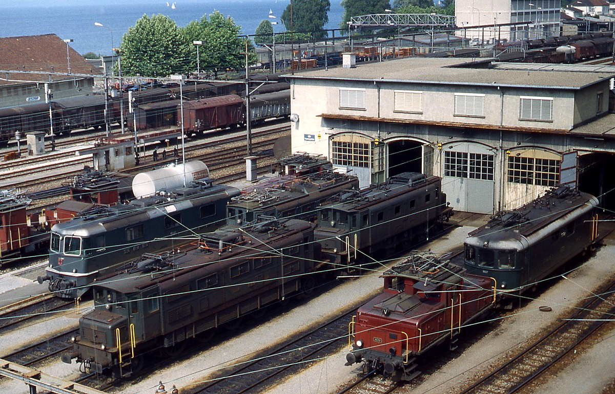 Um 1980 haben sich insgesamt sechs Lokomotiven fnf verschiedener Baureihen sowie mehrere Rangiertraktoren vor dem Lokschuppen in Rohrschach versammelt, von links nach rechts eine Re 4/4 II, eine Ae 3/6 I, eine Ae 4/7 und eine weitere Ae 3/6 I, eine Ee 3/3 sowie eine Re 4/4 I