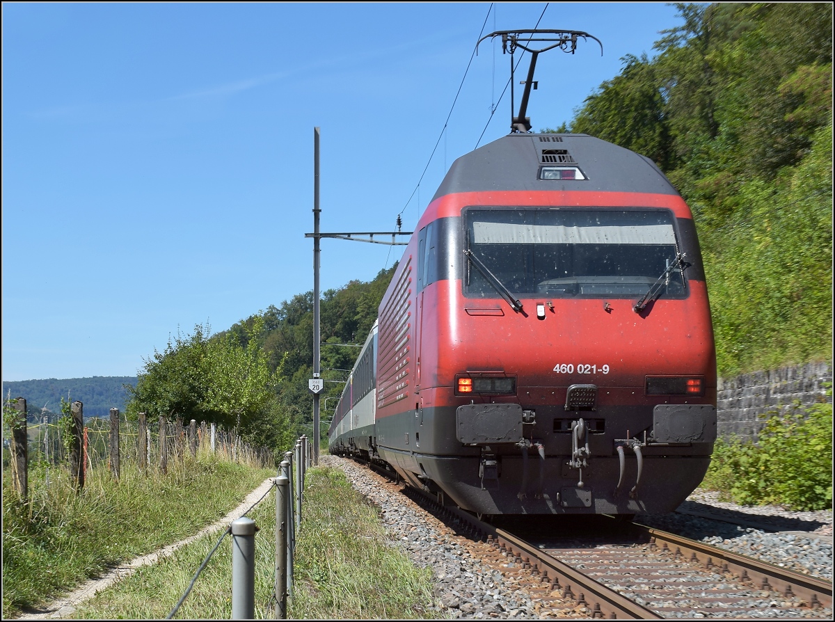 Umleiterverkehr auf dem Läufelfingerli. Ein IC mit Re 460 021-9 auf dem Weg nach Basel. Sommerau, August 2018.