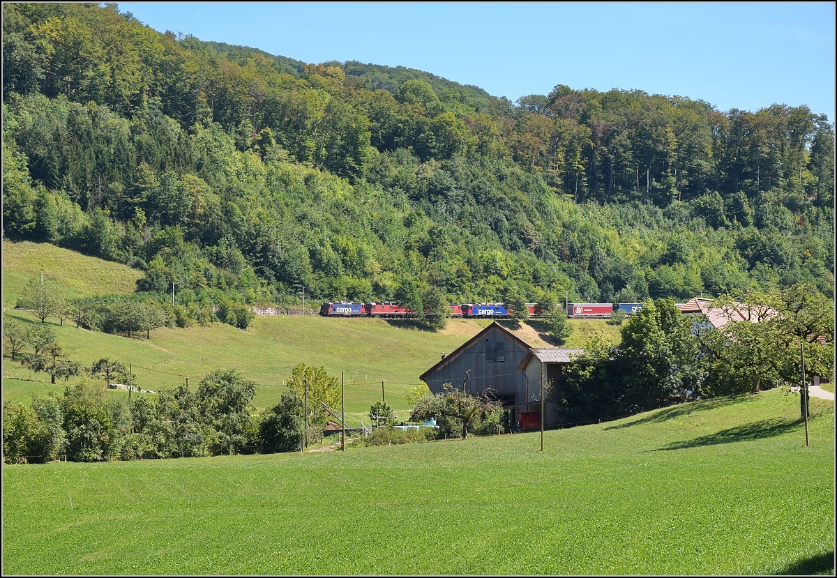 Umleiterverkehr auf dem Läufelfingerli. Überraschend trotz Sonntag kam mir die Re 20/20 bei Katzbach entgegen. August 2018.