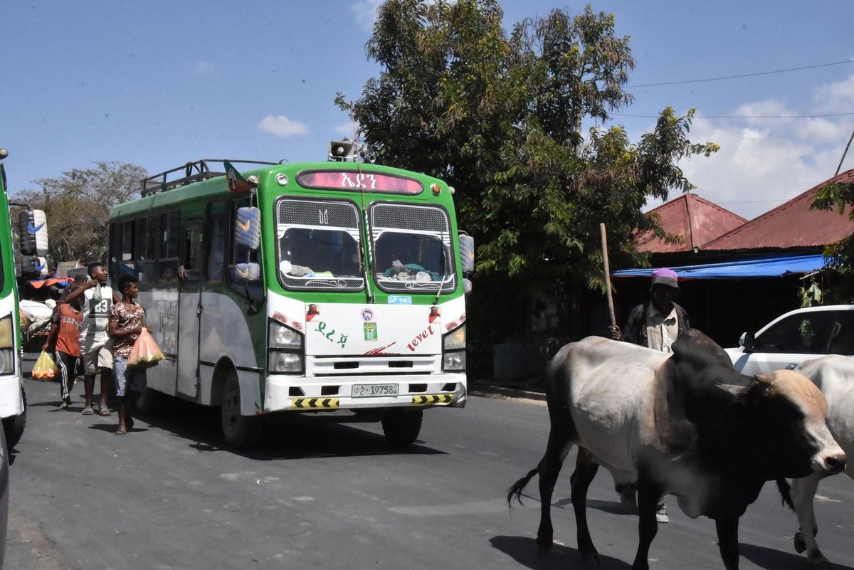 Unbekannter Midibus in �thiopien in einer Kleistadt 03/2019 gesehen.