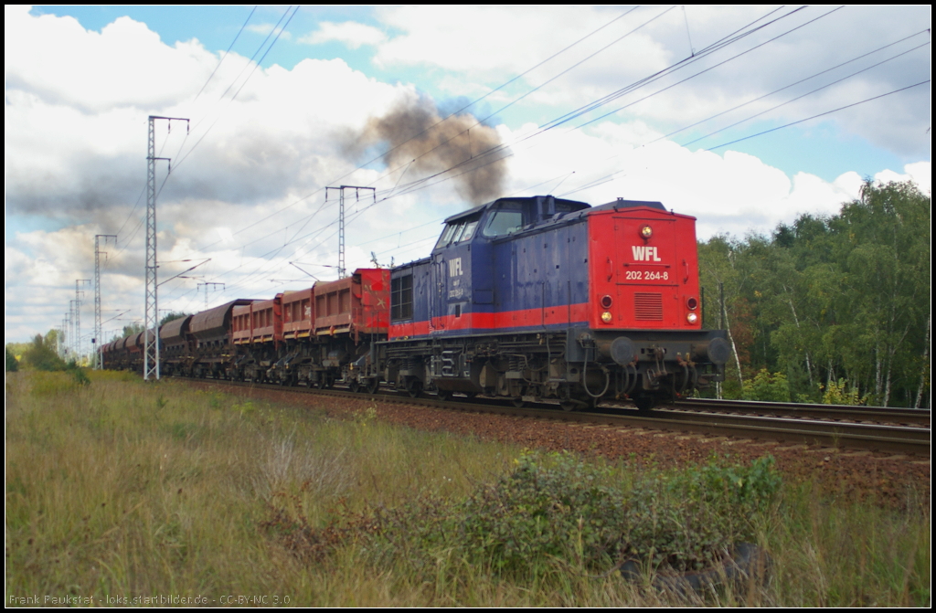 WFL Lok 17 / 202 264 mit Bauzug am 01.10.2013 in der Berliner Wuhlheide (Gru� an den Tf!)