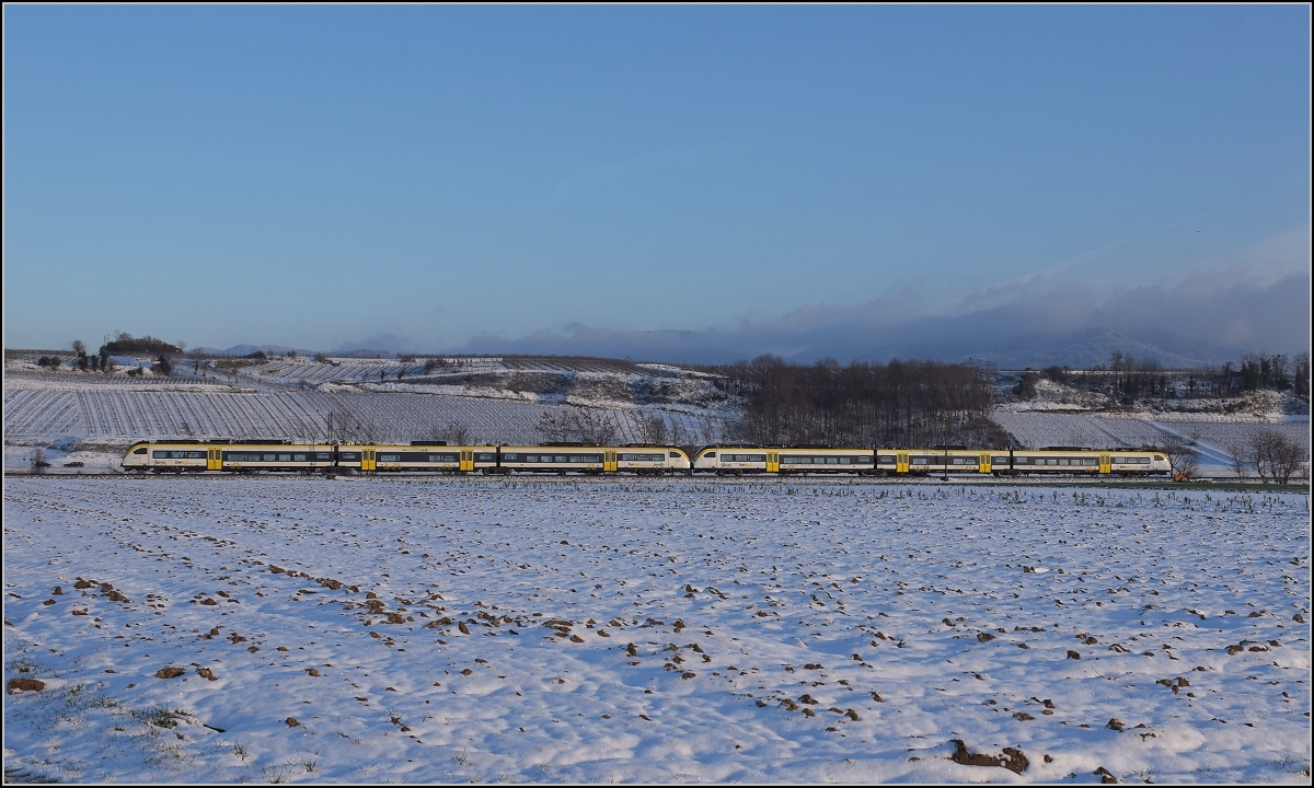 Zwischen Belchensystem und Blauendreieck. 

463 007 und 463 021 Richtung Basel bei Buggingen. Februar 2021.