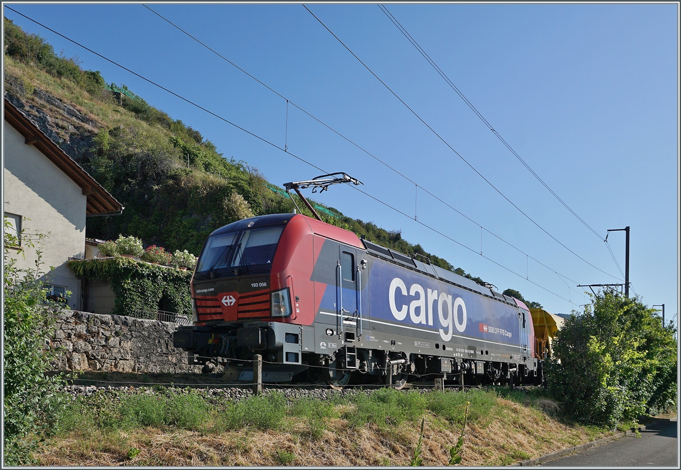 ... die im Gegensatz zur SBBB Re 6/6 scheinbar kürzere von der SBB Cargo gemietet 193 056 passt recht gut in die Vegetations-Lücke auf dem letzten Einspurigen Abschnitt der Strecke Bie/Bienne - Lausanne bei Ligerz.

11. Juli 2025