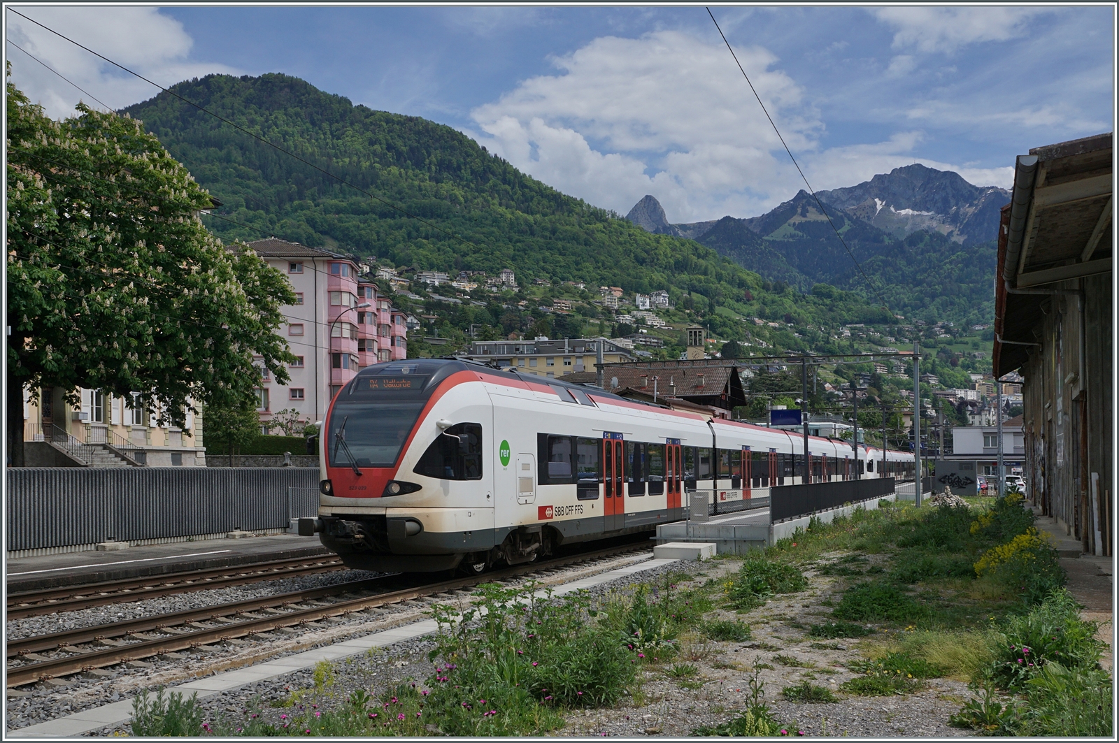 Die beiden SBB RABe 523 029 und 523 023 sind als R3 von Aigle nach Le Brassus/Vallorbe unterwegs und verlassen den Bahnhof von Clarens. 

14. Mai 2024