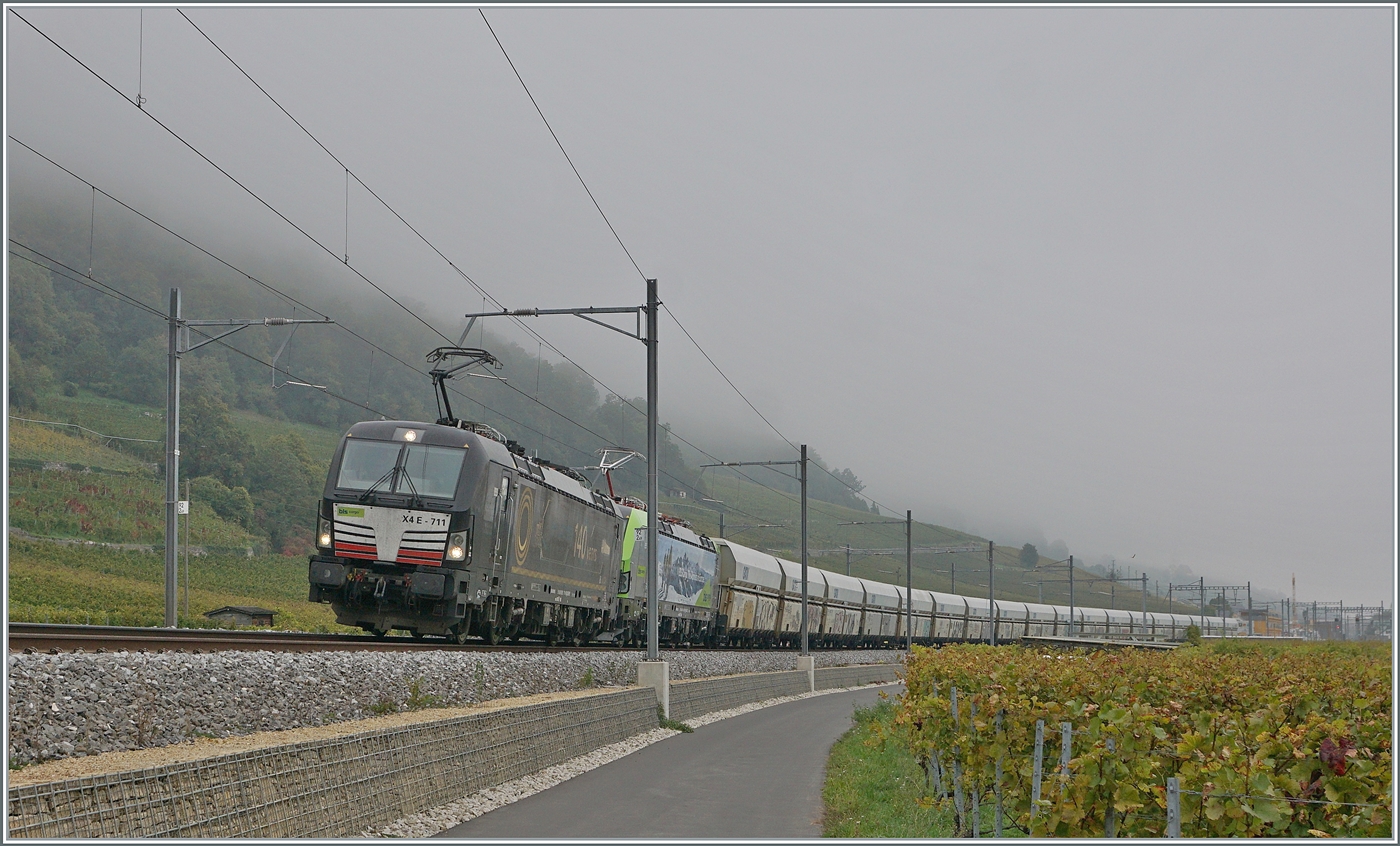 Die X4E-711 (im Einsatz für die BLS) und die BLS Re 465 mit einem Güterzug zwischen Ligerz und La Neuveville. Weit im Hintergrund ist die Baustelle für den Doppelspurausbau  Ligerz  zu sehen. 

08. Oktober 2025