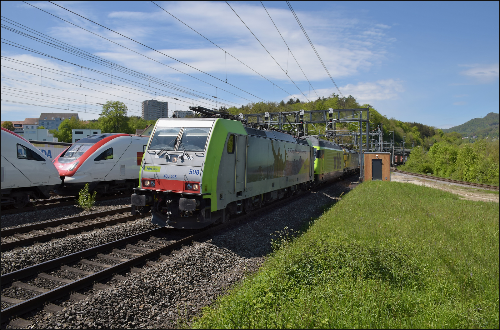 Eine kleine Ergänzung zu Armins Re-486er-Bildern. In der Schweiz kommen tatsächlich noch wildere Mehrfachtraktionen vor. Re 486 508, Re 465 008 und 193 717 LWR in Dreifachtraktion zeigen, dass Bombardierlok, SLM-Lok und Siemensloks ganz prinzipiell ebenso miteinander fahren können, wenn es denn der Betreiber so will...

Das Bild entstand während einer Museumsfahrtenpause über das Läufelfingerli. Dabei hatte ich vom Standort her mitnichten auf Vielfachtraktionen gehofft und bitte die ungünstige Beleuchtung zu entschuldigen. Dullikon, April 2024.


