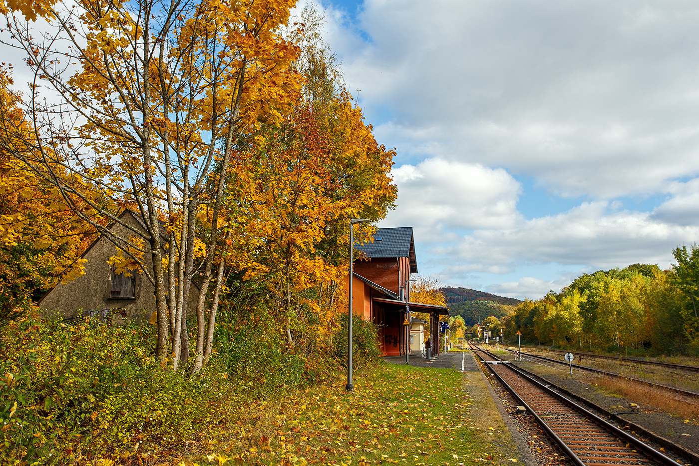 Es ist Herbst, auch beim Bahnhof Herdorf, hier am 14 Oktober 2025 in Blickrichtung Neunkirchen/Siegerland. 

Der Bahnhof Herdorf liegt an km 90,1 der „Hellertalbahn“ KBS 462.

Herdorf war eines der Zentren des Bergbaus im Siegerland mit den meisten Bergwerken auf einem Ortsgebiet des Siegerlandes. Bis 1965 wurden in 100 Jahren ca. 60 Millionen Tonnen Eisenerz in den Herdorfer Gruben gefördert. Dutzende von Bergwerken haben die Kultur und Industrie der Region stark beeinflusst. Neben den Gruben gab es in Herdorf die Friedrichshütte, eine bedeutende Hüttenanlage, deren Hauptgebäude, das sogenannte Hüttenhaus, noch steht und einen Kultursaal und Restaurants beherbergt.

So war der Bahnhof Herdorf im Güterverkehr einst, mit über 30 Gleisen der Staatsbahn, ein sehr großer Bahnhof. Durch die Verladung von Eisenerz gehörte nach den Tonnagen geurteilt, zu einem der größten in Europa. Zudem gab ein noch den Anschluss an die Freien Grunder Eisenbahn AG mit der Bahnstrecke Herdorf–Unterwilden, heute noch vorhanden und betrieben durch die Kreisbahn Siegen-Wittgenstein. Dieser ist in Blickrichtung hinten bei der Brücke. 

Außerdem gab es noch die Anschlüsse an die Friedrichshütte mit ihren Hochöfen und der Hochbahn, sowie an die Eiserfelder Steinwerke AG mit der Verladeanlage der Bremsbahn von Basalt auf Bahnwagen. Zudem war hier beim Bahnhof (rechts vom Bild) noch eine Verladebrücke der schmalspur Grubenbahn ins Sottersbachtal (im Herdorfer Volksmund  Bähnchens  genannt), von dieser wurde geröstetes Eisenerz, sowie später auch Basalt und Split, auf normalspurige Bahnwagen verladen wurde. Die 2,5 km lange Grubenbahn erledigte auch den gesamten Materialtransport zu den Gruben (Friedrich Wilhelm, Einigkeit, Zufälligglück, San Fernando und Mahlscheidt). 