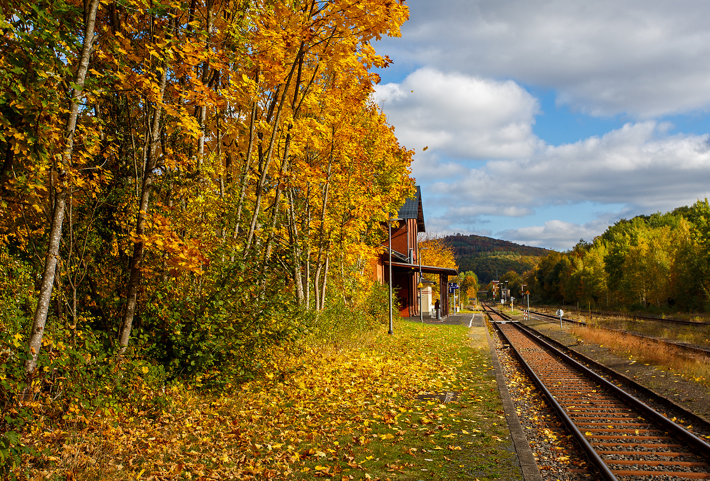 Es ist Herbst, auch beim Bahnhof Herdorf, hier am 14 Oktober 2025 in Blickrichtung Neunkirchen/Siegerland. 

Der Bahnhof Herdorf liegt an km 90,1 der „Hellertalbahn“ KBS 462.

Herdorf war eines der Zentren des Bergbaus im Siegerland mit den meisten Bergwerken auf einem Ortsgebiet des Siegerlandes. Bis 1965 wurden in 100 Jahren ca. 60 Millionen Tonnen Eisenerz in den Herdorfer Gruben gefördert. Dutzende von Bergwerken haben die Kultur und Industrie der Region stark beeinflusst. Neben den Gruben gab es in Herdorf die Friedrichshütte, eine bedeutende Hüttenanlage, deren Hauptgebäude, das sogenannte Hüttenhaus, noch steht und einen Kultursaal und Restaurants beherbergt.

So war der Bahnhof Herdorf im Güterverkehr einst, mit über 30 Gleisen der Staatsbahn, ein sehr großer Bahnhof. Durch die Verladung von Eisenerz gehörte nach den Tonnagen geurteilt, zu einem der größten in Europa. Zudem gab ein noch den Anschluss an die Freien Grunder Eisenbahn AG mit der Bahnstrecke Herdorf–Unterwilden, heute noch vorhanden und betrieben durch die Kreisbahn Siegen-Wittgenstein. Dieser ist in Blickrichtung hinten bei der Brücke. 

Außerdem gab es noch die Anschlüsse an die Friedrichshütte mit ihren Hochöfen und der Hochbahn, sowie an die Eiserfelder Steinwerke AG mit der Verladeanlage der Bremsbahn von Basalt auf Bahnwagen. Zudem war hier beim Bahnhof (rechts vom Bild) noch eine Verladebrücke der schmalspur Grubenbahn ins Sottersbachtal (im Herdorfer Volksmund  Bähnchens  genannt), von dieser wurde geröstetes Eisenerz, sowie später auch Basalt und Split, auf normalspurige Bahnwagen verladen wurde. Die 2,5 km lange Grubenbahn erledigte auch den gesamten Materialtransport zu den Gruben (Friedrich Wilhelm, Einigkeit, Zufälligglück, San Fernando und Mahlscheidt). 