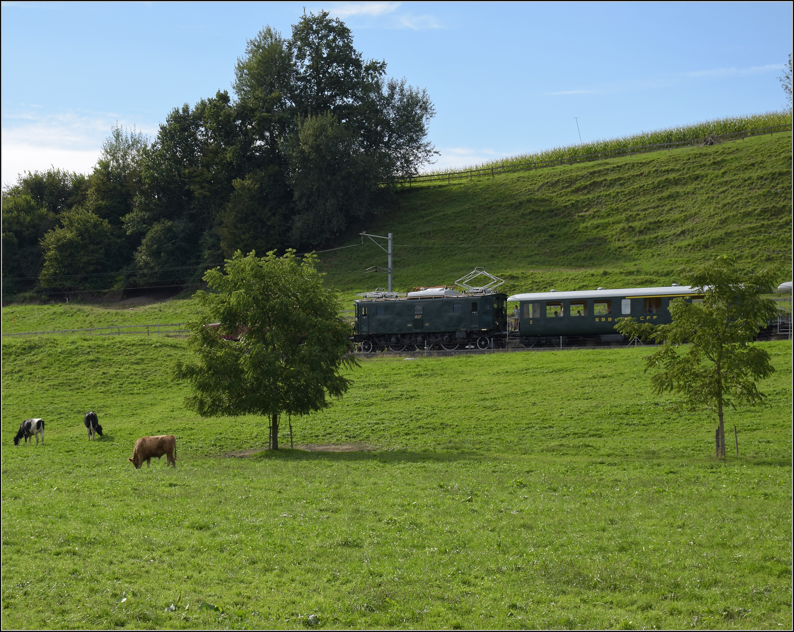 Historische Seethalbahn in Aktion.

Der Museumszug mit Seetalkrokodil De 6/6 15301, A 3/5 10217 und den Seetalwagen fährt oberhalb der Bunkerhangare des Flugplatz Emmen vorbei. Zufällig lässt sich das Krokodil verstecken und A 3/5 zieht scheinbar alleine den Zug. September 2024.