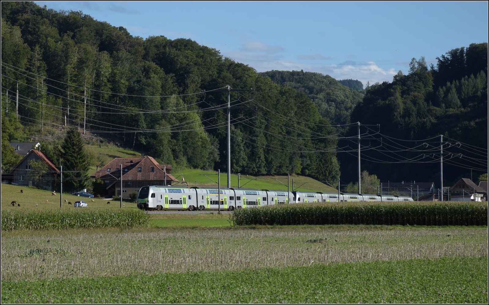 Mit neuem, langen Mutz, RABe 515 019 und der von hinten zu erahnende RABe 515 038 bei Hermiswil. September 2022.