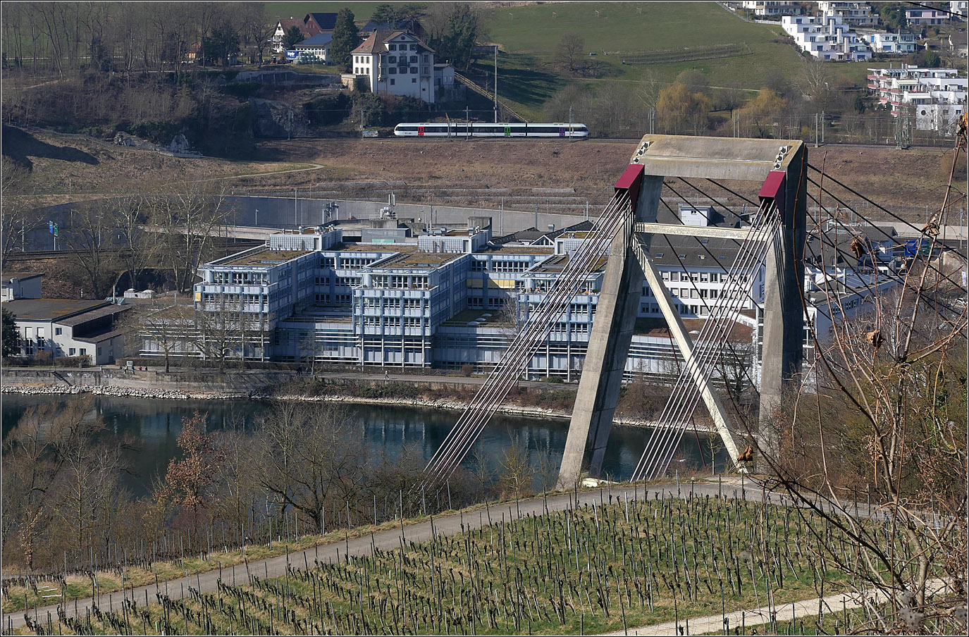 Mit Olli auf Motivsuche in Schaffhausen - 

Ein lange steile Treppe sind wir auf der Züricher Seite des Rheines hochgestiegen zu einem kleinen Weinberg nördlich von Flurlingen. Während der Blick auf die Strecke in Richtung Schweiz teilweise von Gebäuden und Bäumen verdeckt ist, hat man doch einen freien Blick auf die Hochrheinbahn nach Basel. 

Hier ist eine Bahn der S65 der S-Bahn Schaffhausen auf dem Weg nach Erzingen (Baden) unterwegs. Markant der Pylon der Schrägseilbrücke der A4 über den Rhein, der hier hochragt.

09.03.2025
