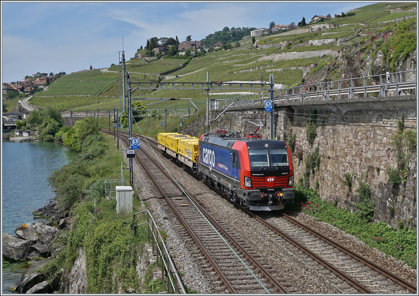 Nach einigen Problemen der Vectron Loks mit dem ETCS und der dadurch erfolgten Umdisponierung der SBB Cargo Vectron Loks auf Nicht-ETCS-Strecken, sind die SBB Cargo Vectron Loks nun vereinzelt wieder auf der Simplonlinie zu sehen, wobei sich die ziemlich neue 193 077 bei Rivaz mit ihren drei Wagen nicht ber zu viel Arbeit beklagen kann.

19. Mai 2025