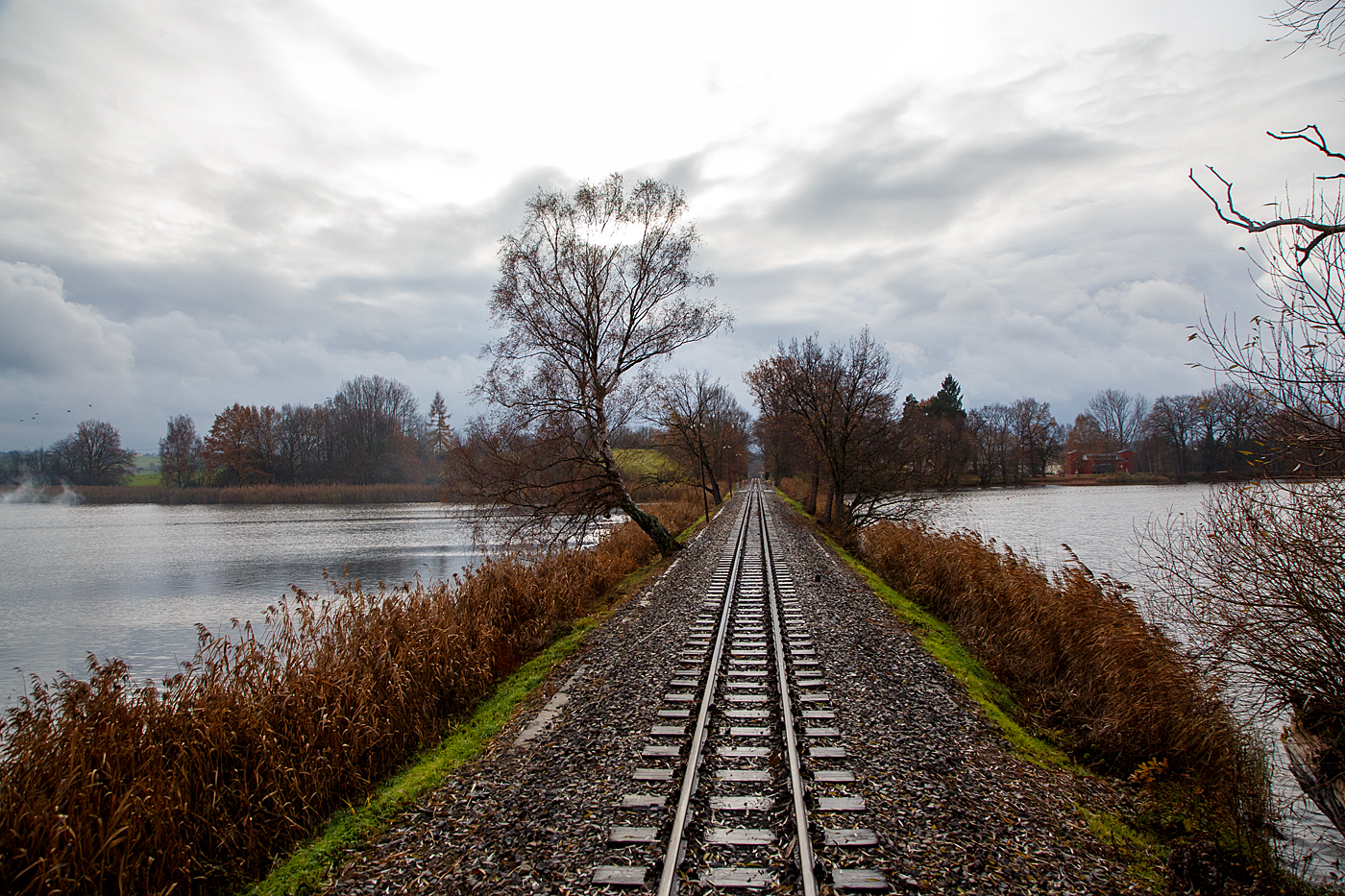 Unterwegs mit dem „Lößnitzdackel“  bzw. mit der Lößnitzgrundbahn, hier befährt unser Zug am 07.12.2022 den 210 m langen Bahndamm am Dippelsdorfer Teich (km 6,59n - 6,775), vom letzten Wagen nach hinten heraus. 
 	
Der Dippelsdorfer Teich liegt als einer der Moritzburger Teiche im Moritzburger Teichgebiet nördlich von Dresden in Sachsen und ist nach dem zum Moritzburger Ortsteil Friedewald gehörenden Dörfchen Dippelsdorf benannt. Der See dient der Fischzucht, dem Naturschutz und der Naherholung. Der 210 m lange Bahndamm ermöglicht der Lößnitzgrundbahn die Überquerung des Sees zwischen Dippelsdorf und Moritzburg. Am See gelegen sind das Strandbad Friedewald-Dippelsdorf und der Campingplatz Bad Sonnenland. Gestaut werden der Lößnitzbach und durch eine Überleitung auch der Reichenberger Bach. Der Teich wurde im 16. Jahrhundert, wahrscheinlich 1528, angelegt.
