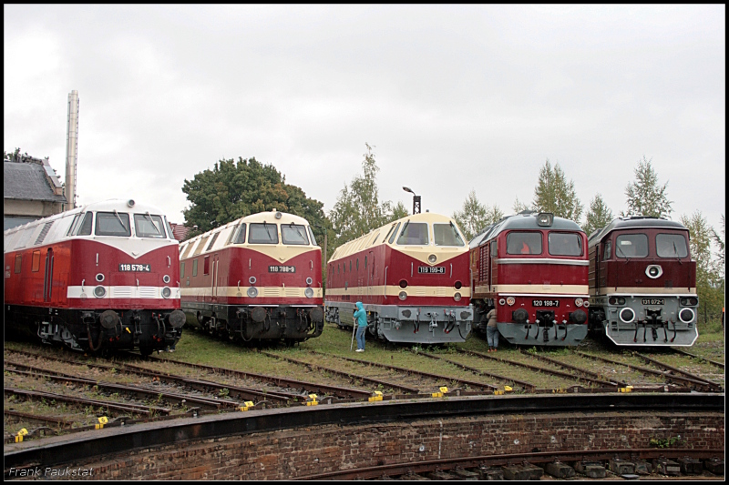 Geballte Dieselpower beim Eisenbahnfest des Th�ringer Eisenbahnverein zum Saisonabschluss 2009. Von links nach rechts 118 578, 118 788, 119 199, 120 198 und 131 072 (Weimar 10.10.2009)