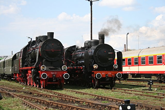 Nach der Parade wurden die Loks auf den Nebengleisen abgestellt, so hatten die Besucher die Mglichkeit eine Dampflok  hautnah  zu erleben. Hier sind es Ok22 31 und Ok1 359 (Wolsztyn, 03.05.2008).