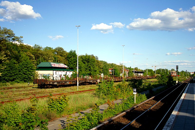 Seit zwei Jahren sehe ich das erste Mal Gterwagen in Schnholz abgestellt. Es sind auch Wagen von Schenker dabei (Berlin Schnholz, 14.05.2009).