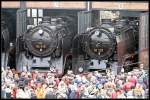 62 015 und 01 137 pr�sentieren sich den Besuchern des Festes (2. Dresdner Dampfloktreffen, Bw Dresden Altstadt 27.03.2010)