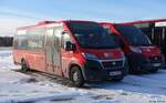 Friedrich Müller Omnibusunternehmen (FMO) aus Schwäbisch Hall | Citybus Leinfelden-Echterdingen | SHA-F 5933 | TS Liner Ducato | 14.02.2021 in Leinfelden-Echterdingen