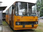 Ikarus 260 vom DDR-Museum Dargen in Dargen.