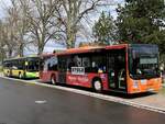 MAN Lion's City der Verkehrsgesellschaft Ludwigslust-Parchim mbH und der MVVG in Plau am See.