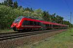 Auf der Linie RB22 zwischen K�nigs Wusterhausen und Potsdam zog am 21.05.25 unter anderem 442 334 seine Runden, hier kurz vor dem Halt in Ludwigsfelde-Struveshof.
