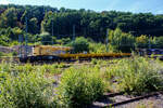 Der GOTTWALD Gleisbauschienenkran GS 40.08 T der HERING Bahnbau GmbH (Burbach), D-HGUI 99 80 9119 002-2, (ex 97 82 41 503 19-9 D-HGUI, ex 97 82 41 503 17-3, ex 60 80 092 3576-3) abgestellt am 26 August 2025 im Rbf Betzdorf/Sieg.

Der Eisenbahndrehkran vom Typ GOTTWALD GS 40.08 T wurde 1987 von Gottwald in Düsseldorf unter der Fabriknummer 146 027 gebaut.

Der Gottwald 45 t GS 40.08 T wird für den Aus- und Einbau von schweren Betonweichen, Gleisjoche und Hilfsbrücken sowie für die Montage von Ingenieurbauwerken eingesetzt. Durch die rückwärtige Ausladung von zwei Metern wird der Zugverkehr im Nachbargleis, bei vier Meter Mindestabstand zum Gleis, nicht gestört.

Vor dem Kran stehen die beiden zugehörigen Schutzwagen der Gattung Res, links der 80 80 3948 001-3 D-HGUI und rechts davor 80 80 394 8 005-4 D-HGUI (ex 60 80 092 3 511-0, ex 33 52 393 7 563-7 D-DB). 