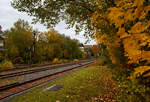 Herbstzeit in Herdorf....