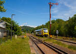 Der VT 507 (95 80 1648 107-8 D-HEB / 95 80 1648 607-7 D-HEB) der HLB (Hessische Landesbahn GmbH), ein Alstom Coradia LINT 41 der neuen Generation, hat uns am 02.06.2022, als RB 96  Hellertalbahn  die