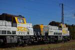Am Zugschluss des SGL-Lokzuges liefen zwei Gravita-Lokomotiven, die 261 308 und 261 314.