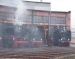 001 180-0, 01 2066-1 und 01 2137-6 im Ringlokschuppen des Bw Dresden am 17.04.2015 beim 7.