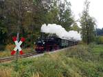 99 633 das Öchsle bei Maselheim am 24.10.2021.