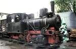 B-Schmalspur Dampflok 1000 mm Feuriger Elias im Eisenbahnmuseum Darmstadt im Mai 1994.