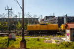 Die 203 314-0 (92 80 1203 314-0 D-DBMP) und die 203 303-3 (92 80 1203 303-3 D-DBMP) der DB InfraGO AG sind am 23 April 2026 beim Bahnhof Fulda abgestellt. Aufnahme aus einen ICE heraus.

Beide V 100.1 wurden 1974 bei LEW (VEB Lokomotivbau Elektrotechnische Werke „Hans Beimler“, Hennigsdorf) gebaut. die 203 314-0 unter der Fabriknummer 14452 und als 110 751-5 an die DR ausgeliefert, die 203 303-3 unter der Fabriknummer 14380 und als 110 679-8 an die DR ausgeliefert.