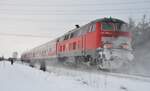 218 488-5 mit Nahverkehrszug in Bellenberg am 31.01.2010.