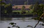 Hochwasser am Hochrhein.