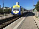 2 NE 81 Triebwagen zum Sommersaisonauftakt der SAB am 30.04.17 bei der Einfahrt in Schelklingen.