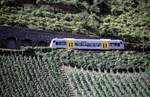 650 VT 002 der Transregio Rheinland-Pfalz auf dem Lehnviadukt an der Mosel bei P�nderich am 15.08.2002.