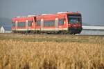 650 112 und ein weiterer 650 bei Illertissen am 01.09.2012.