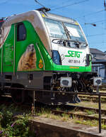 Detailbild von dem Alpenmurmeltier an der Rem 487 001-0 „Murmeltier“ (91 85 4487 001-0 CH-SRA) der Salzburger Eisenbahn Transportlogistik (SETG), ex SRT Rem 487 001, ex BTK 187 010.