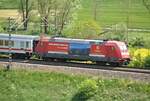 101 006-5 mit Schweiz-Werbung bei Lonsee am 20.05.2014.