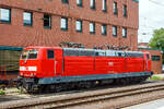 Die 181 209-8 (91 80 6181 209-8 D-DB) der DB Fernverkehr AG steht am 17 Juni 2013 beim Hauptbahnhof Koblenz. Später wird sie den IC 134 „Ostfriesland“ von Norddeich Mole nach Luxembourg übernehmen. 

Die Lok wurde 1974 von der Friedrich Krupp AG in Essen unter der Fabriknummer 5275 gebaut, der elektrische Teil wurde AEG (Allgemeine Elektricitäts-Gesellschaft, Berlin) unter der Fabriknummer 8846 geliefert. Sie hatte die Zulassung für Deutschland / Frankreich / Luxemburg. Ab dem 25.01.2017 war sie kurz im SSM Hamm (Stillstandsmanagement) abgestellt, am 28.06.2017 wurde sie bei der Bender Rohstoff-Recycling e. K. in Leverkusen-Opladen leider zerlegt.