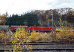 Die 187 148-2 (91 80 6187 148-2 D-DB) der DB Cargo AG fährt am 13 November 2025 mit einem Coilzug durch Betzdorf (Sieg) in Richtung Köln. Im Vordergrund der Rbf, hier werden Gleise erneuert.

Die Bombardier TRAXX F140 AC3 wurde 2017 von der Bombardier Transportation GmbH in Kassel unter der Fabriknummer 35454 gebaut. 