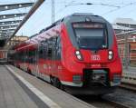 Der Hamsterfan wurde wieder mit Fernlicht begrt im Rostocker Hbf.08.08.2014