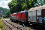 Die leider beschmierte ÖBB 1293 072 (91 81 1293 072-5 A-ÖBB), eine Siemens Vectron MS (X4E) in der Variante A35-1a (Länderpaket) der ÖBB-Produktion GmbH, fährt am 17 Juli 2025 mit einem sehr langen gemischten Güterzug durch den Bahnhof Kirchen (Sieg) in Richtung Köln.

Die SIEMENS Vectron MS / X4E wurde 2020 von Siemens in München-Allach unter der Fabriknummer 22759 und an die ÖBB - Österreichische Bundesbahnen (ÖBB-Produktion GmbH) geliefert. Sie ist in der Variante A35-1a ausgeführt und hat so die Zulassungen für A, D, I, SLO, CZ, SK, H, PL und HR. Von der Variante A35 hat die ÖBB insgesamt 123 Loks (1293 001-123).

Ende Januar 2017 unterzeichneten die Österreichischen Bundesbahnen und Siemens Mobility einen Rahmenvertrag über bis zu 200 Lokomotiven, wovon die ersten 30 Mehrsystem-Vectron direkt zum Gesamtpreis von 120 Mio. Euro abgerufen wurden.

Die Siemens Vectron weisen im Betrieb mit Wechselspannung eine Leistung von 6.400 kW, mit Gleichspannung 6.000 kW, auf und haben eine Masse von bis zu 90 Tonnen, die auf vier Achsen verteilt eine Achslast von 22,5 Tonnen ergibt. Aufgrund der überwiegenden Verwendung im Güterverkehr sind die Lokomotiven zunächst für 160 km/h zugelassen. Zur Verbesserung der Laufeigenschaften auf kurvenreichen Strecken wurden die Lokomotiven mit aktiven Drehdämpfern ausgerüstet

TECHNISCHE DATEN:
Spurweite: 1.435 mm (Normalspur)
Achsformel: Bo’Bo’
Länge über Puffer: 18.980 mm
Breite (über Handstangen): 3.012 mm
Höhe (Panto abgesenkt): 4.248 mm
Begrenzungslinie: UIC 505-1
Drehzapfenabstand:  9.500 mm
Achsabstand in Drehgestell:  3.000 mm
Raddurchmesser:  1.250 mm (neu) / 1.160 mm (abgenutzt)
Dienstgewicht: 90 t
Max. Radsatzlast: 22,5 t
Meterlast: 4.742 kg
Höchstgeschwindigkeit: 160 km/h  (Lok 1293.047-051 200 km/h)
Antriebsleistung: 6.400 kW (AC) / 6.000 kW (DC)
Anfahrzugkraft: 340 kN
Kleinster bef. Halbmesser: 80 m
Stromsysteme: 15kV/16,7Hz; 25kV/50Hz; 3kV DC (1,5kV DC)
Antriebsart: IGBT Stromrichter und Drehstrom Fahrmotore mit
Antrieb: Ritzelhohlwellenantrieb
Bremsbauart: KE-GPR-E m Z, (D), ep. Dynamisches Bremssystem Elektrodynamische Hochleistungs-Rückspeisebremse, für DC Netze zusätzlich Widerstandsbremse
Leistung der dynamischen Bremse: 6.400 kW (AC) / 6.000 kW (DC), Leistung der Widerstandsbremse: 2.600 kW (DC)
E-Bremskraft der dynamischen Bremse: 150 / 240 kN
Federspeicherbremse 45 / 50: 60 kN
Zugheizung: 900 kVA
Betriebliche Daten:
Zugbeeinflussungssysteme: Alstom IVC ETCS L1-2 + SCMT; LZB 80/E, PZB 90; MIREL VZ1; SHP
Sicherheitsfahrschaltung: Zeit-Zeit Impuls-SiFa
Zugfunk: GSM-R Dual Mesa 23 SW 4.9.3, Analogbetrieb 450 MHz gemäß UIC 751-3, GSM-R gemäß EIRENE FRS 7, SRS 15
Fern- und Vielfachsteuerung: UIC-WTB nach ÖBB Fernsteuerkonzept, ZMS-ZDS-ZWS

Quellen: ÖBB-Produktion GmbH, Siemens und wikipedia
