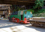 Die Normalspur-Dampflokomotive 46 der Vlklinger Htte (ehem. Rchling'schen Eisen- und Stahlwerke GmbH in Vlklingen/Saar, ab 1982 ARBED-Saarstahl GmbH, ab 1986 Saarstahl Vlklingen GmbH), eine Jung Hochofenlok niedriger Bauart, abgestellt mit einem offenen Roheisenpfannenwagen der Burbacher Htte, hier am 01 Juli 2025 am Gelnde Vlklinger Htte als Denkmal. Heutiger Eigentmer ist die Initiative Vlklinger Htte e.V..

1964 wurde die Lok Nr. 46 mit der Fabriknummer 13835 im Auftrag der Rchling'schen Eisen- und Stahlwerke als letzte rostgefeuerte Dampflok der Firma Arnold Jung, Lokomotivfabrik GmbH, in Jungenthal bei Kirchen an der Sieg gebaut und am 09.12.1964 geliefert. Einsatzgebiet war der Roheisentransport von den sechs Hochfen zum Thomasstahlwerk, wobei die besonders beengten Verhltnisse auf der Vlklinger Htte eine besondere Bauform erforderten. Die Verbindung zwischen Eisenwerk und Stahlwerk war nur durch einen Tunnel mglich, da die Deutsche Bahn durch ihre Gleisanlagen die Htte in zwei Bereiche teilt. Dieser Tunnel, der Roheisenkanal, ist so niedrig, dass die zweiachsige Lok nur eine Hhe von 2.640 mm ber der Schienenoberkante und eine Breite von 2.450 mm aufweist. Die Loks 44 (11945/Baujahr 1953) und 45 (13240/Baujahr 1959), die nach vorliegenden Unterlagen technisch baugleich sind, wurden schon vorher (von der Arnold Jung GmbH an die Vlklinger Htte geliefert. 

Um speziell die Fhrerhausrckwand, die Lampen, aber auch die Kupplungselemente zwischen Lok und dem ersten Wagen vor flssigen glhenden Spritzern von herabfallenden Roheisen zu schtzen, erhielten die Lokomotiven ein nach hinten verlngertes Dach. Die Puffer wurden im Stahlwerk den dort vorhanden Roheisenpfannenwagen angepasst. Alte Jung Mitarbeiter berichten, an der Lok htte man kaum was verdient, weil lnst nicht mehr Dampflokteile ab Lager vorhanden waren umd z.T. mhsam und teuer beschafft werden musste.

Im Zuge der Modernisierung und Rationalisierung wurden die Roheisendampfloks 1981 nicht mehr bentigt. Whrend die Lokomotiven 44 und 45 an ein Museum im Ruhrgebiet verkauft wurden, gelangte die Lokomotive 46 als technisches Denkmal 1982 zur Universitt Kaiserslautern. Diese schenkte die Lokomotive 46 der Initiative Vlklinger Htte, die sie mit Hilfe von Sponsoren am 9. Februar 1999 nach Vlklingen zurckholte.

TECHNISCHE DATEN:
Baujahre: 1953,1959 und 1964
Gebaute Anzahl: 3
Spurweite: 	1.435 mm (Normalspur)
Achsformel: B
Lnge: 7.600 mm
Achsabstand: 2.000 mm
Triebraddurchmesser: 1.000 mm (neu)
Breite: 2.450 mm
Hhe: 2.650 mm
Dienstgewicht: 26 t
Hchstgeschwindigkeit: k. A. 
Leistung: 250 PS
Zugkraft: 7,5 t
Zylinder: 2 Stck,  380 mm x 500 mm Hub
Dampfdruck: 14 bar
Heizflche: 58,92 m
Rostflche: 1,17 m
Anzahl Siederohre: 178 Stck
Durchmesser Siederohre: 33/38 mm
Lnge Siederohre: 2.540 mm
Wasservorrat: 2.500 l (2,5 m)
Kohlenvorrat: 500 kg